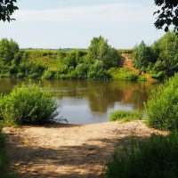 Живописные берега Днепра. :: Милешкин Владимир Алексеевич 