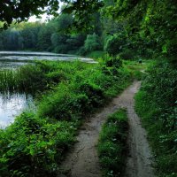 * * * :: Андрей Лукьянов