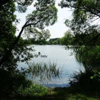 Парк Покровское-Стрешнево :: Лидия Бусурина