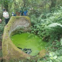 Дольмены Сочи :: Tata Wolf