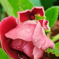 ))): :: Андрей 