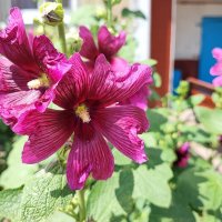 ,,, :: Сергей Тимоновский