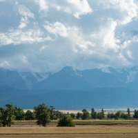 *** :: Николай Чекалин