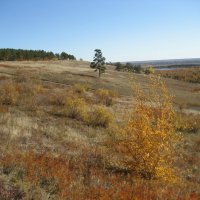 Осень :: Anna Ivanova