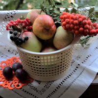 Лето. :: Венера Чуйкова