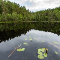 Мёртвое озеро :: Александр Мезенцев Мёртвое озеро :: Александр Мезенцев