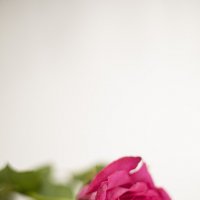 :) :: Анастасия Фотографовна