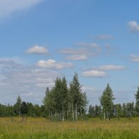 Летние картинки :: Ольга 