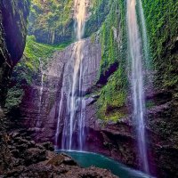 Индонезия. :: Aleksey Afonin