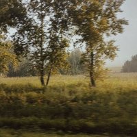 Из окна автомобиля :: Ильич -