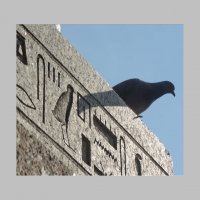 оживший иероглиф :: sv.kaschuk оживший иероглиф :: sv.kaschuk