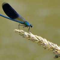 из вчерашней съемки 3 :: Александр Прокудин