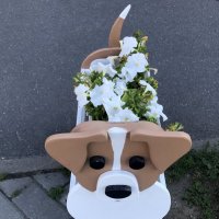 вазон :: zavitok * вазон :: zavitok *