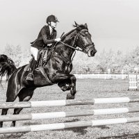 Конкур :: SanSan 