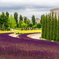 Парк Галицкого :: Игорь Сикорский