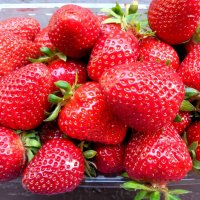 Клубничка :: Наталья 