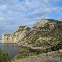 Природа Крыма :: Amazing Cosmea