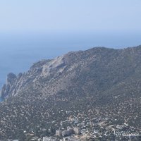 Природа Крыма :: Amazing Cosmea