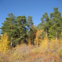 Осень :: Anna Ivanova