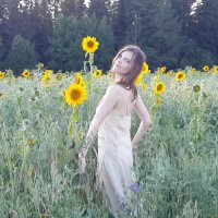 Лето в солнце и расцвете :: Светлана Лапка