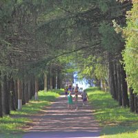 Аллея :: Евгений Корьевщиков Аллея :: Евгений Корьевщиков