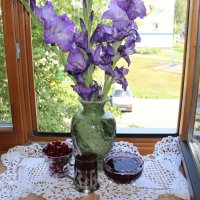 мой дом. :: Венера Чуйкова