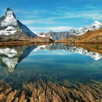 mirror :: Elena Wymann