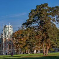 Царицыно :: Aleksey Afonin