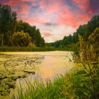 лесное болото :: Cергей Александров лесное болото :: Cергей Александров