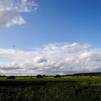 И солнышко, и тень.. :: Антонина Гугаева И солнышко, и тень.. :: Антонина Гугаева