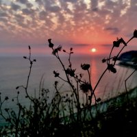 Закаты :: Pippa 