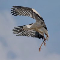 -- :: vladimir -- :: vladimir