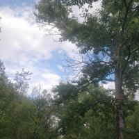 Дождик :: Андрей Хлопонин