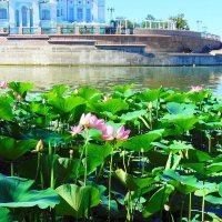 На Волжской стрелке :: Александр Владимирович Никитенко