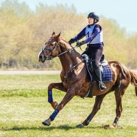 Кросс :: SanSan 