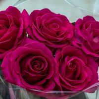 Букет :: Игорь Сикорский