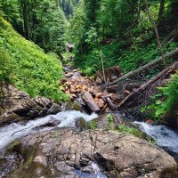 Горный ручей :: Mikhail Irtyshskiy