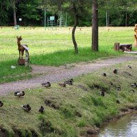 Тропа сказаний :: Александр Ильчевский 