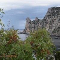 Природа Крыма :: Amazing Cosmea