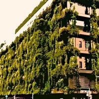 Летние этюды 73 :: Алексей Кузнецов