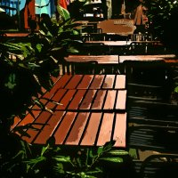 Летние этюды 75 :: Алексей Кузнецов