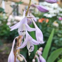 ,,, :: Сергей Тимоновский