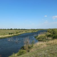 Оазис в степи. :: Виктор 