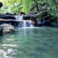 ГОРНАЯ РЕЧКА :: Tata Wolf