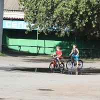 После дождичка, в четверг.. :: Сергей 