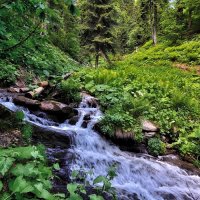 Горная речка :: Mikhail Irtyshskiy Горная речка :: Mikhail Irtyshskiy