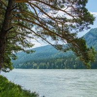 *** :: Николай Чекалин