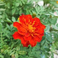 ,,, :: Сергей Тимоновский