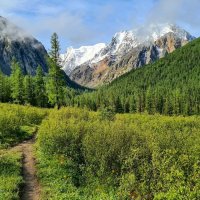 Тропинка :: Виктор Фоменко