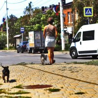 Ах, какая попна! :: Юрий Гайворонскiий Ах, какая попна! :: Юрий Гайворонскiий